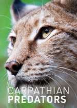 Watch Carpathian Predators 123moviesFree