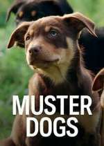 Watch Muster Dogs 123moviesFree
