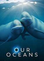 Watch Our Oceans 123moviesFree