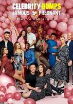 Watch Celebrity Bumps: Famous & Pregnant 123moviesFree