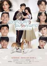 Watch My Husband in Law 123moviesFree