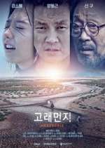 Watch Ambergris 123moviesFree