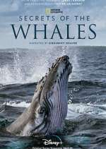 Watch Secrets of the Whales 123moviesFree