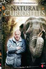 Watch Natural Curiosities 123moviesFree