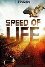 Watch Discovery Channel Speed Of Life 123moviesFree