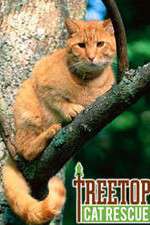Watch Treetop Cat Rescue 123moviesFree