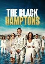 Watch Carl Weber's The Black Hamptons 123moviesFree
