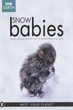 Watch Snow Babies 123moviesFree