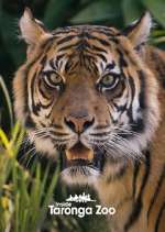 Watch Inside Taronga Zoo 123moviesFree