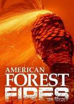 Watch American Forest Fires: The Untold Story 123moviesFree