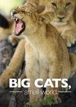 Watch Big Cats, Small World 123moviesFree